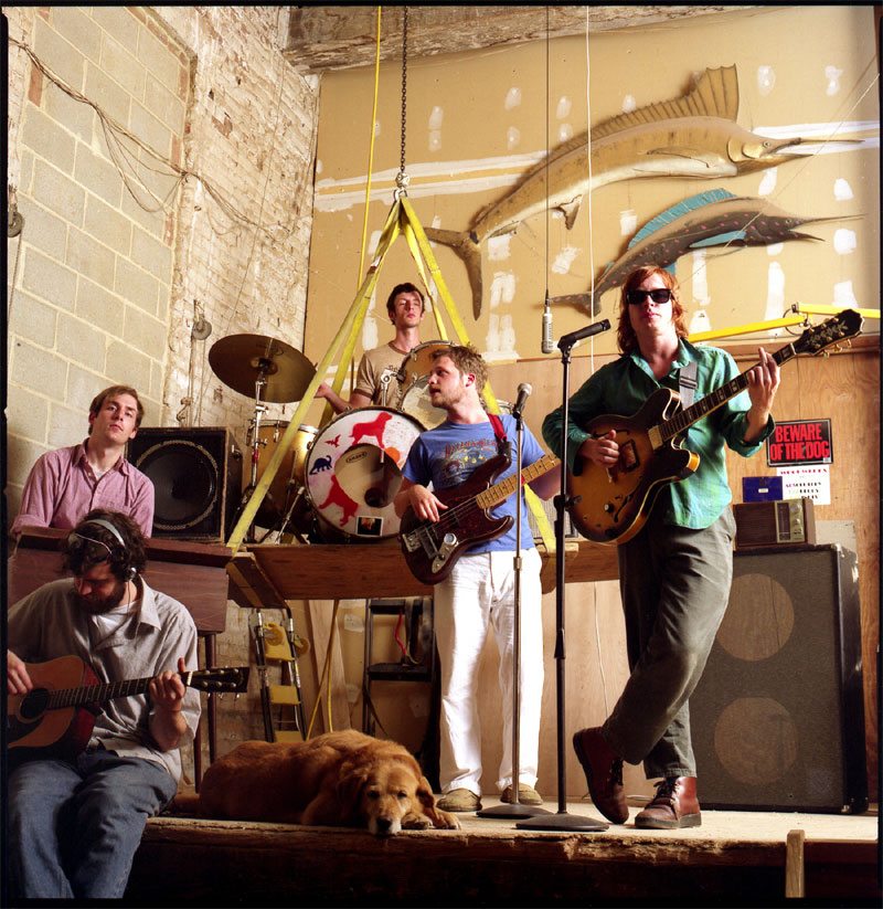 Dr. Dog: Head Shaking & Tail Wagging