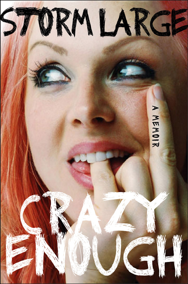 Storm Large Crazy Enough