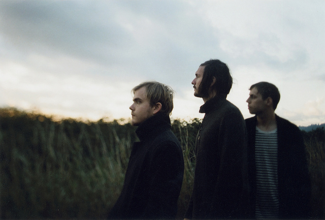 Greylag Touring With Augustana