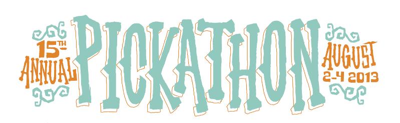 Feist, Andrew Bird, Divine Fits, Sharon Vat Etten, Kurt Vile Lead Pickathon