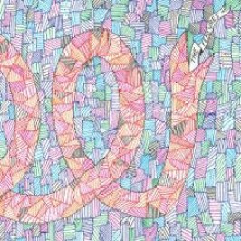 The Features: The Features