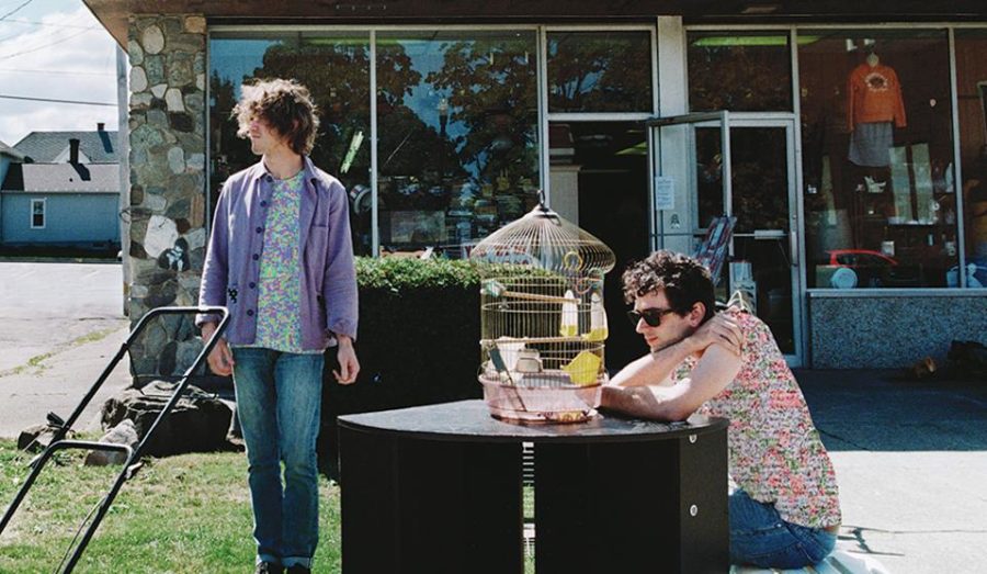 MGMT- MGMT