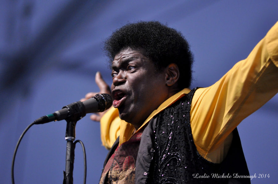 NEW ORLEANS JAZZ FEST- Friday MAY 2, 2014 (PHOTOS)