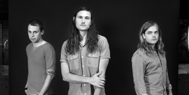 Greylag Flies Subtle Yet Forceful