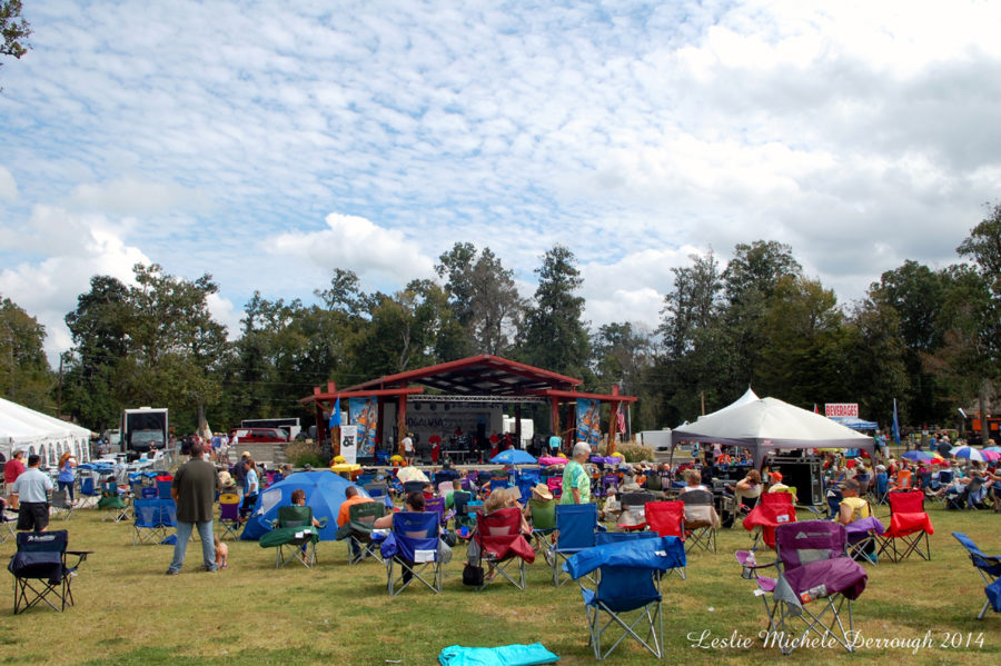 Bogalusa Blues & Heritage Festival Cassidy Park, Bogalusa, LA, 9/269/27/14 (Festival Review