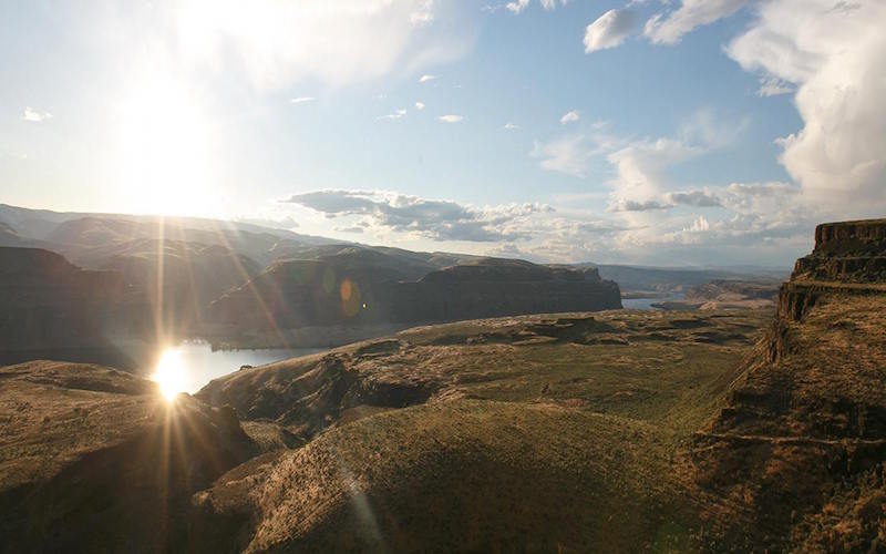 Good Tunes Win At Sasquatch Music Festival (FESTIVAL RECAP)