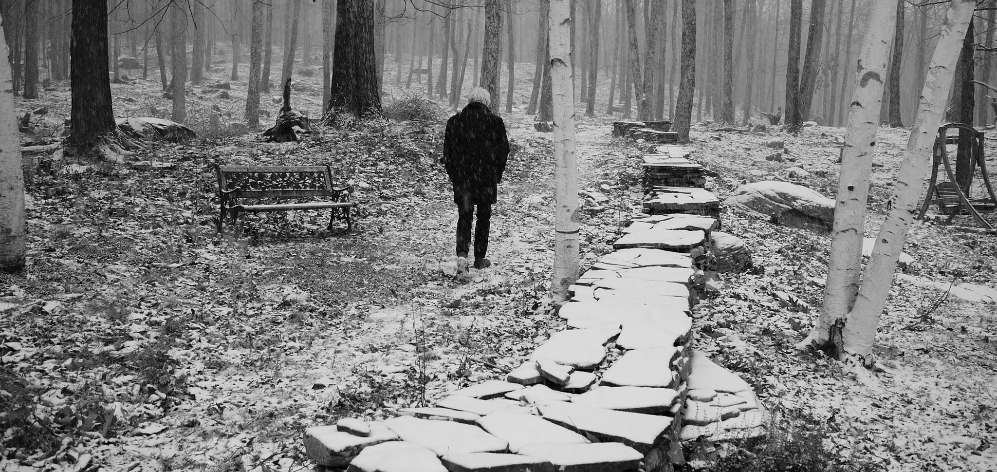 Graham Nash – Iconic Voice & Rock Legend Talks New ‘LP’ & Life In Music (INTERVIEW)