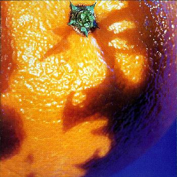 25 Years Ago Today – Phish Releases ‘A Picture of Nectar’ LP (Listen to “Mango Song” Live ’92)