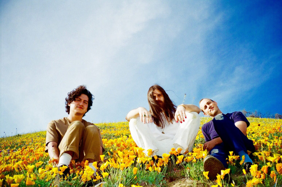 Meatbodies Create Metallic Psych Classic With ‘ALICE’ (ALBUM REVIEW)