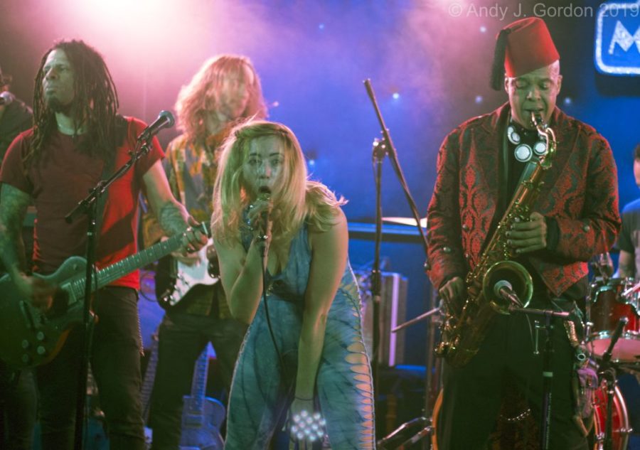 Eric McFadden Leads an All-Star Classic, Alt and Punk Rock Tribute Show at The Mint in Los Angeles (SHOW REVIEW/PHOTOS)