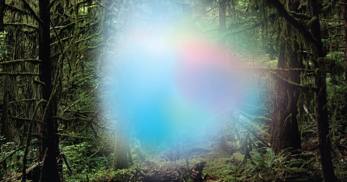 Trey Anastasio Announces New album ‘Ghosts Of The Forest’ – Shares First Track