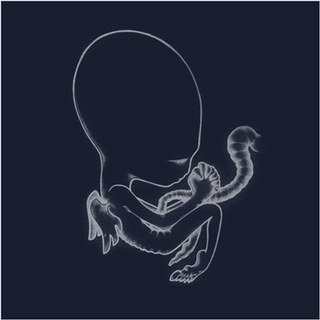 Sigur Rós Announce Ágætis byrjun 20th Anniversary Edition