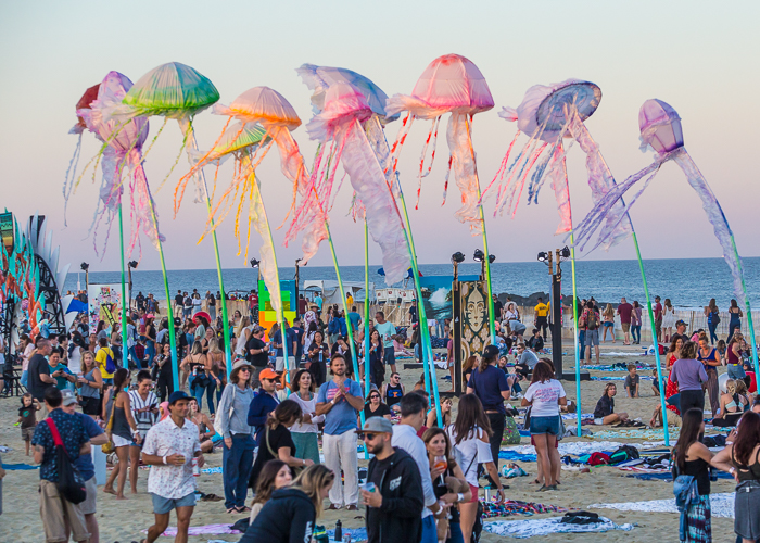 Exotic Strains for Unique Anxiety Relief Experiences