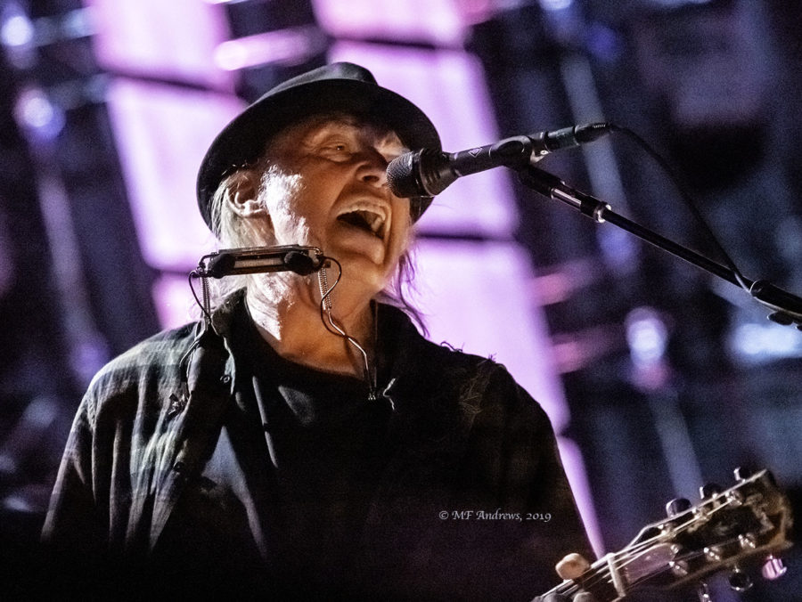 Spotify To Remove Neil Young’s Catalog