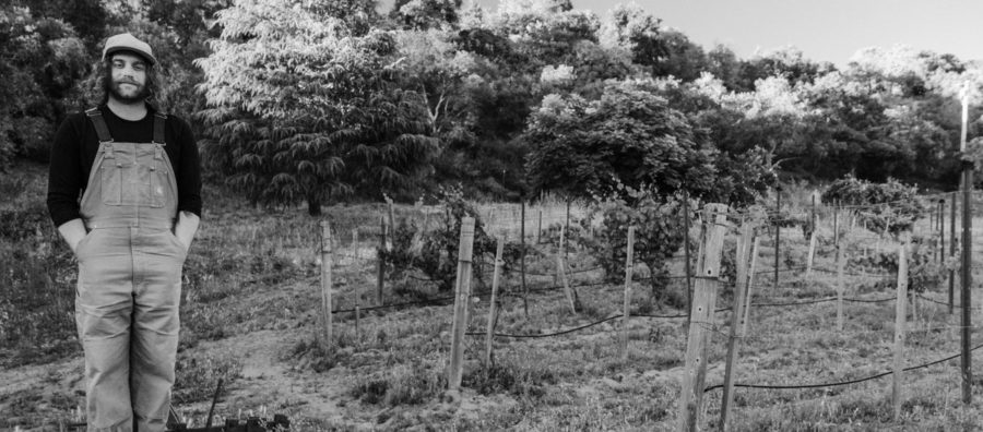 SONG PREMIERE: Bobcat Rob and the Nightly Nail 60’s Folk Pop On Catchy “Engineer”