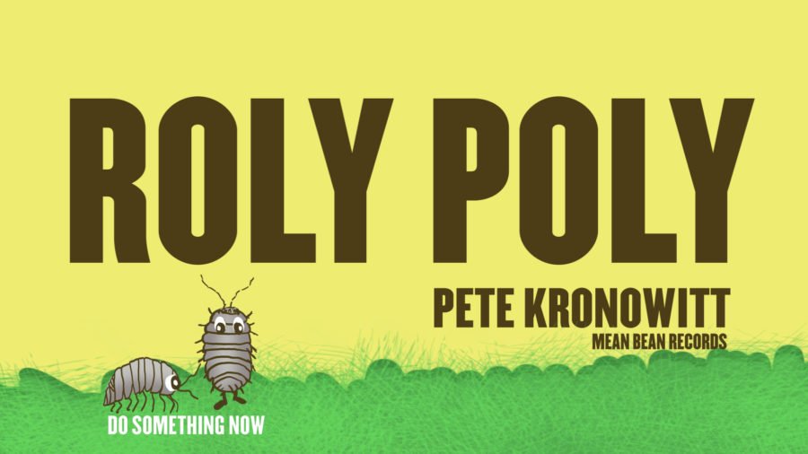 VIDEO PREMIERE: Face The Music Collective Founder Pete Kronowitt Sings of Ecological Decay On “Roly Poly”