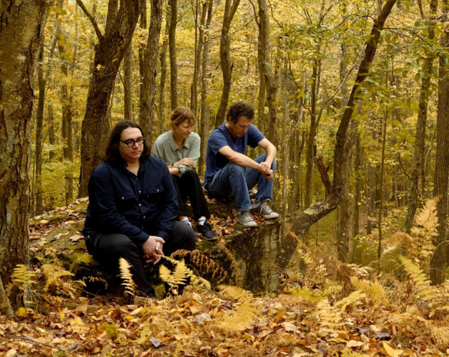 Yo La Tengo Plays It Heavy On Natural Covers Via ‘Sleepless Night’ EP (ALBUM REVIEW)