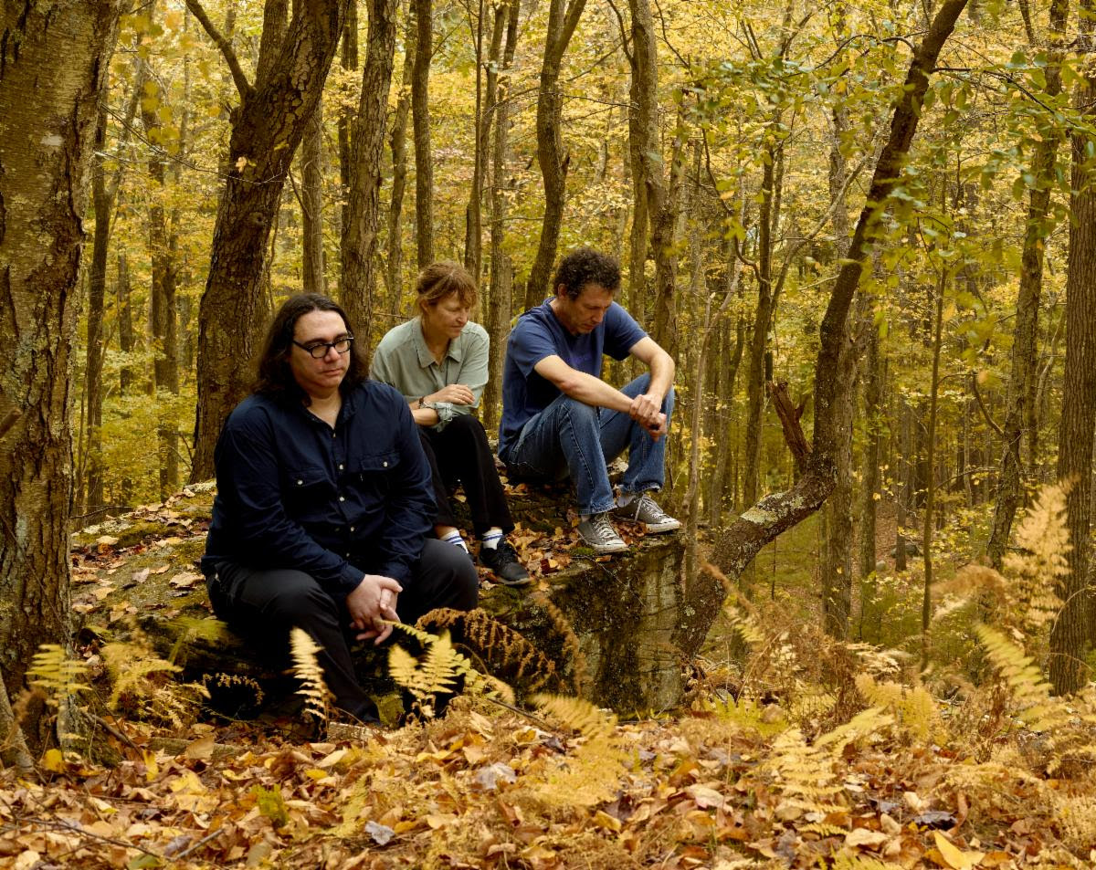 Yo La Tengo Plays It Heavy On Natural Covers Via ‘Sleepless Night’ EP (ALBUM REVIEW)