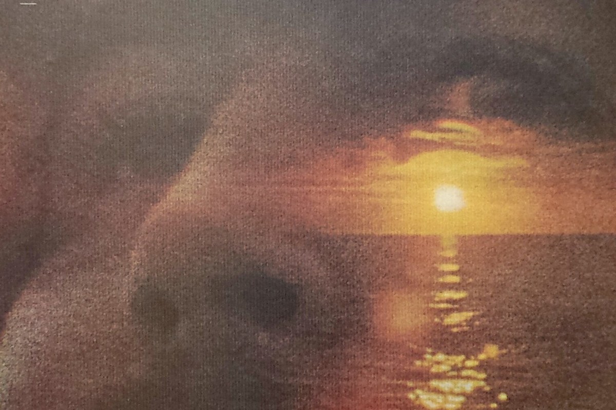 50 Years Later: Revisiting David Crosby’s Eclectic Solo Debut ‘If I Could Only Remember My Name’