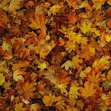 10 Years Ago Today – Childish Gambino Releases First Album Via Five Song ‘EP’