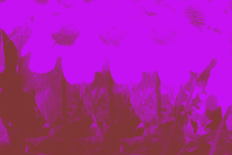 LISTEN: Girl As Wave Brings New Wave Replayable Heat On “Second Thoughts”