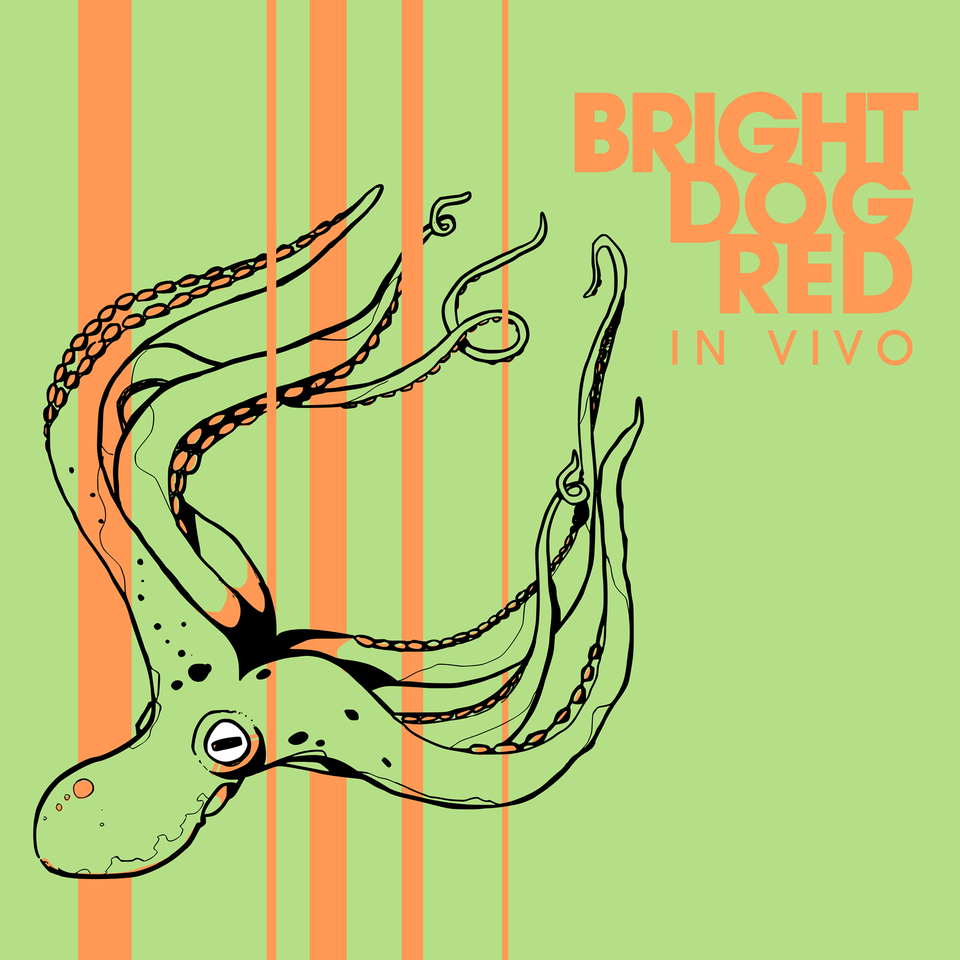 Inspired Free Form Collective Bright Dog Red Delivers First Live Recording With ‘In Vivo’ (ALBUM REVIEW)