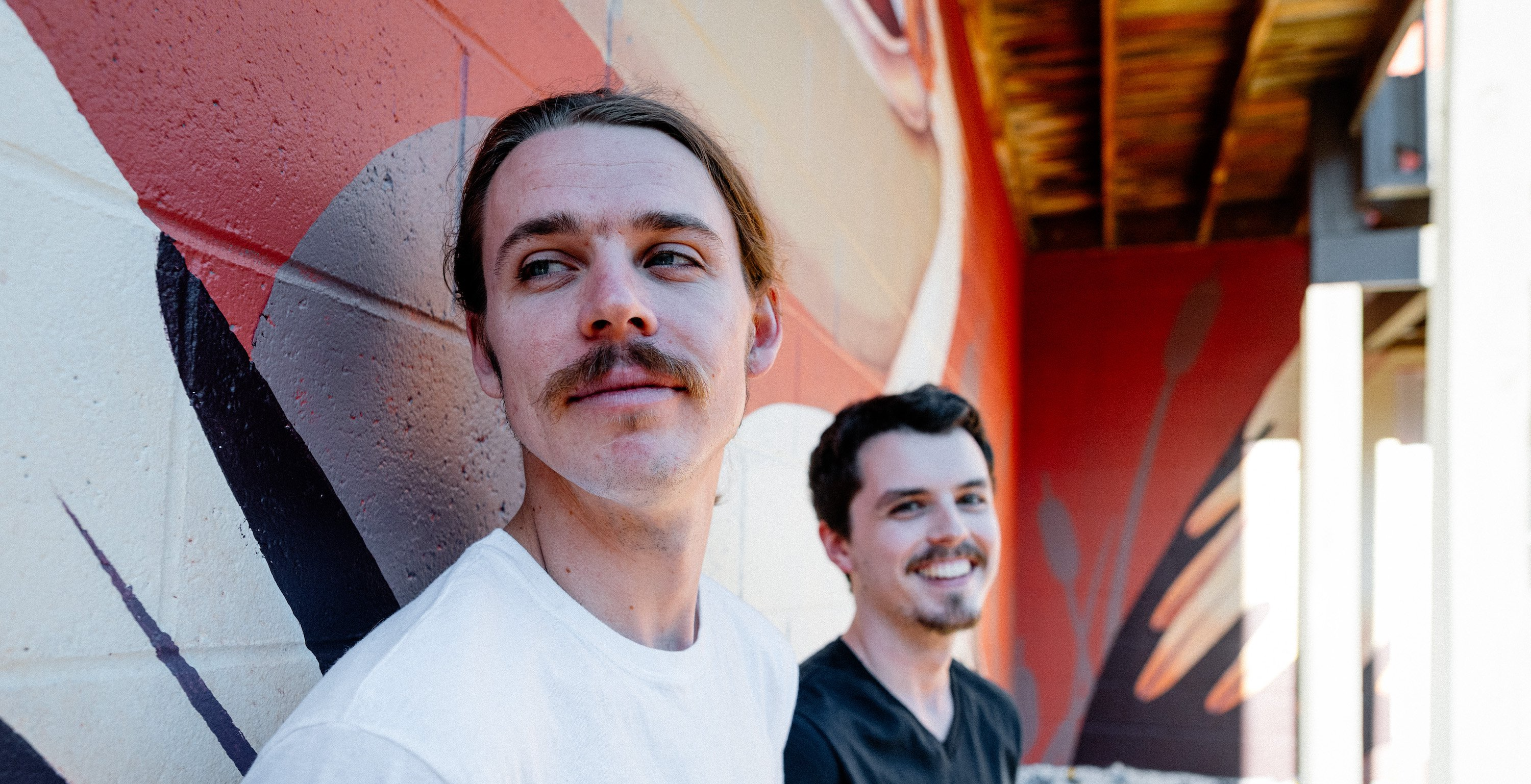 LISTEN: Party of the Sun Deliver Pastoral Brilliance Via “Brassicas”