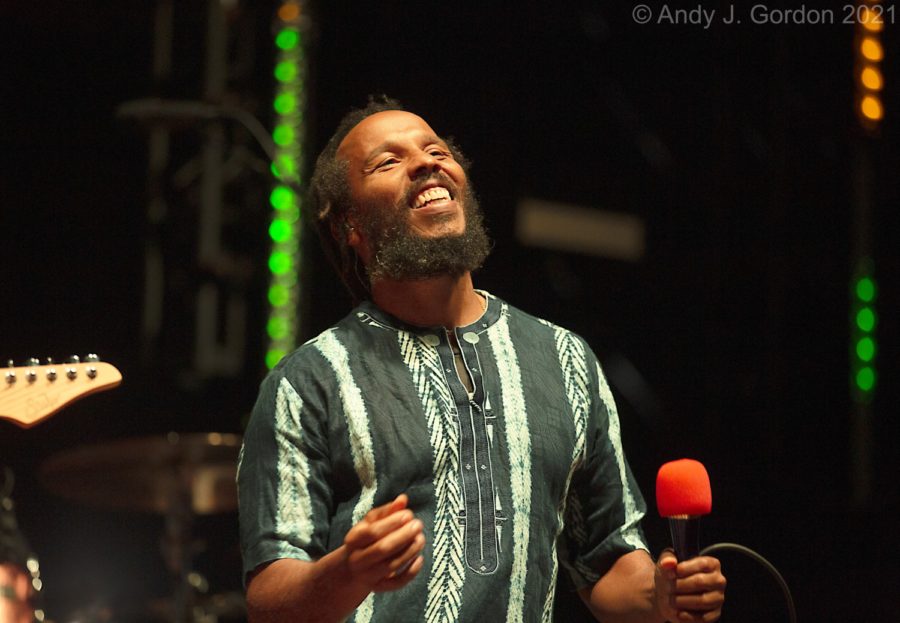 Surfing The Tube: Ziggy Marley Shares Reggae History; Foo Fighters Play NPR Tiny Desk; The Black Keys Perform On Fallon; Weird Al Joins Howard Stern