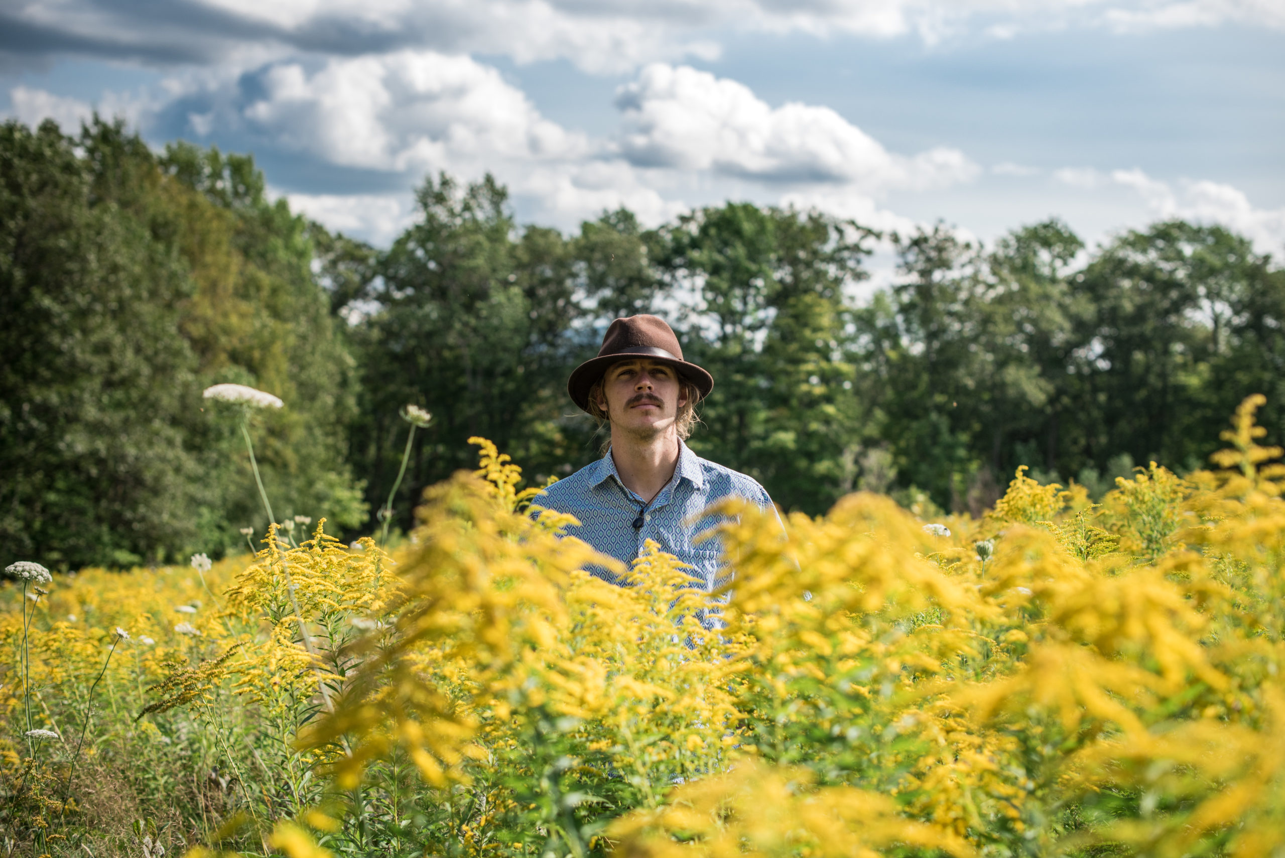 LISTEN: On “Bottomless,” Party of the Sun Crafts Free-Flowing Pastoral Folk