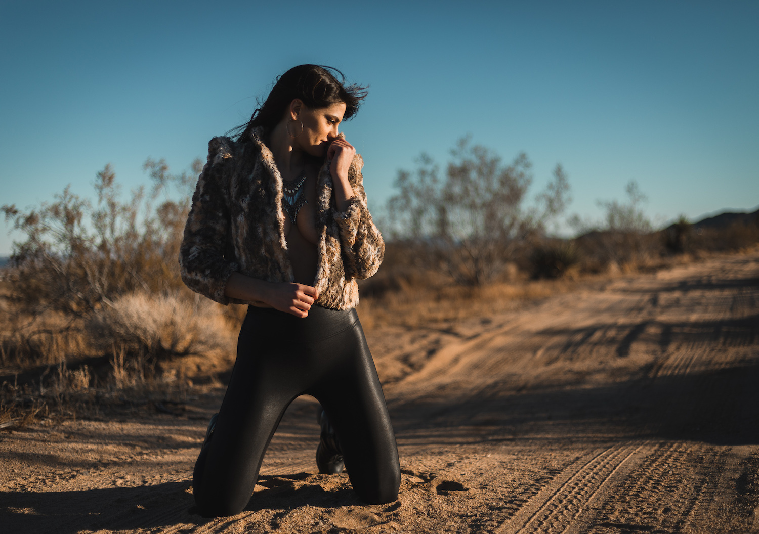 SONG PREMIERE: Sarah Elizabeth Haines Lends Orchestration to Dreamy Indie Rocker “In The Morning”