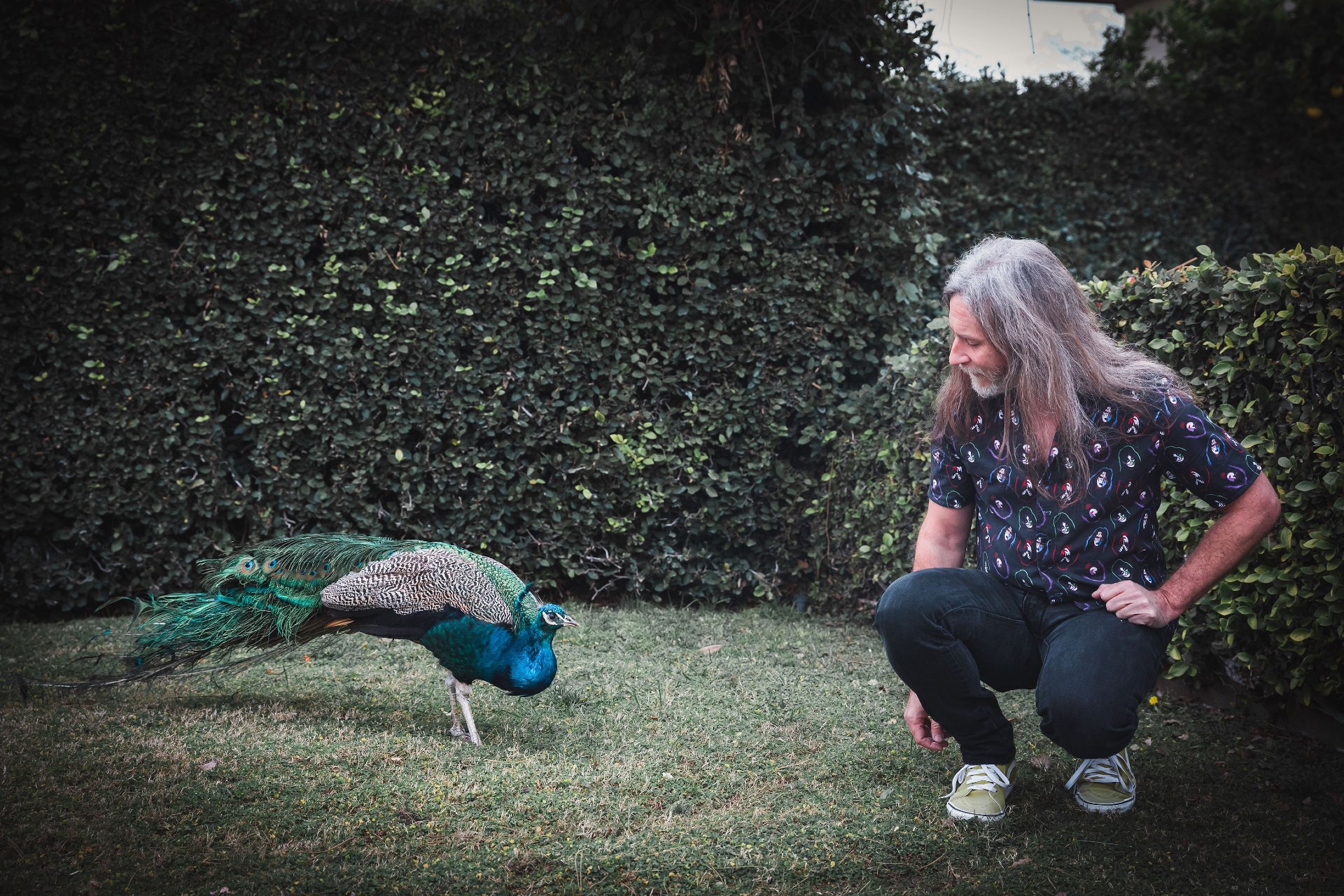 LISTEN: Pink Mountaintops Share Harmony Heavy New Single “Nikki Go Sudden”