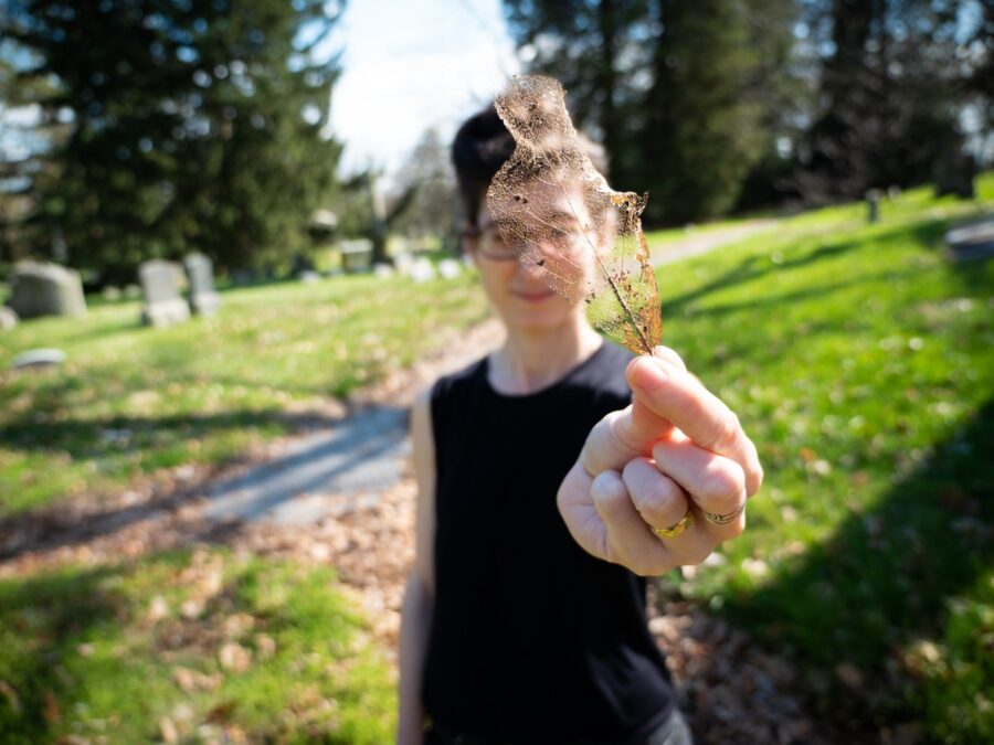 Maggie Carson Deeply Connects Appalachia To Modern Folk On ‘The Dark Was Aglow’ (ALBUM REVIEW)