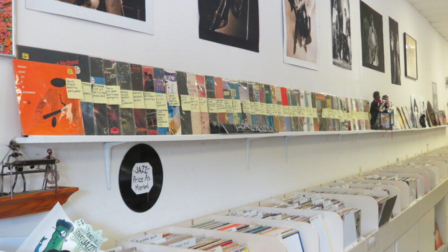 VINYL LIVES: Original Vinyl Records of Warwick, NY Keeps It Stocked With Old & New