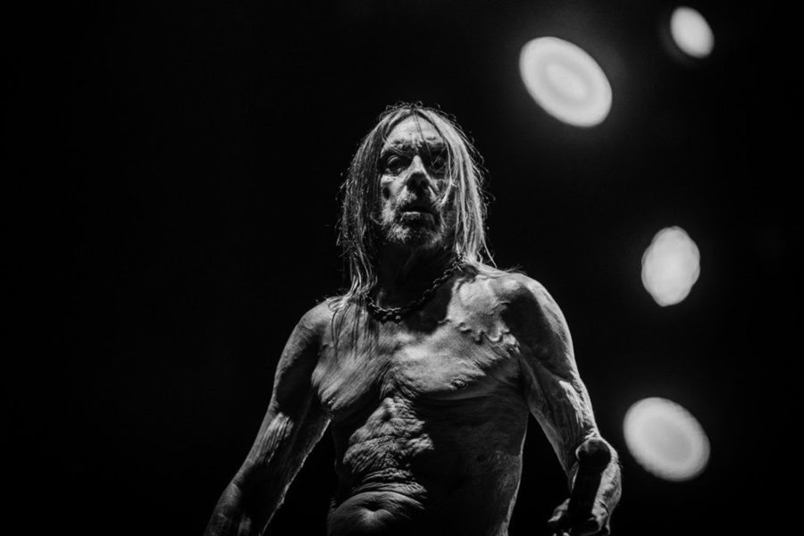 Iggy Pop Keeps Hard-Hitting Avengence Alive Via Swaggering ‘Every Loser’ (ALBUM REVIEW)