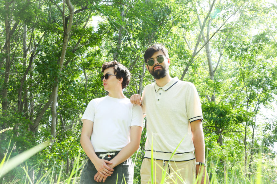 LISTEN: On “Open Up,” Waterfowl Drops Strutty ’60s Rocker