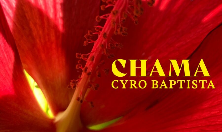 Cyro Baptista’s ‘Chama’ Proves Accessible & Infectious (ALBUM REVIEW)
