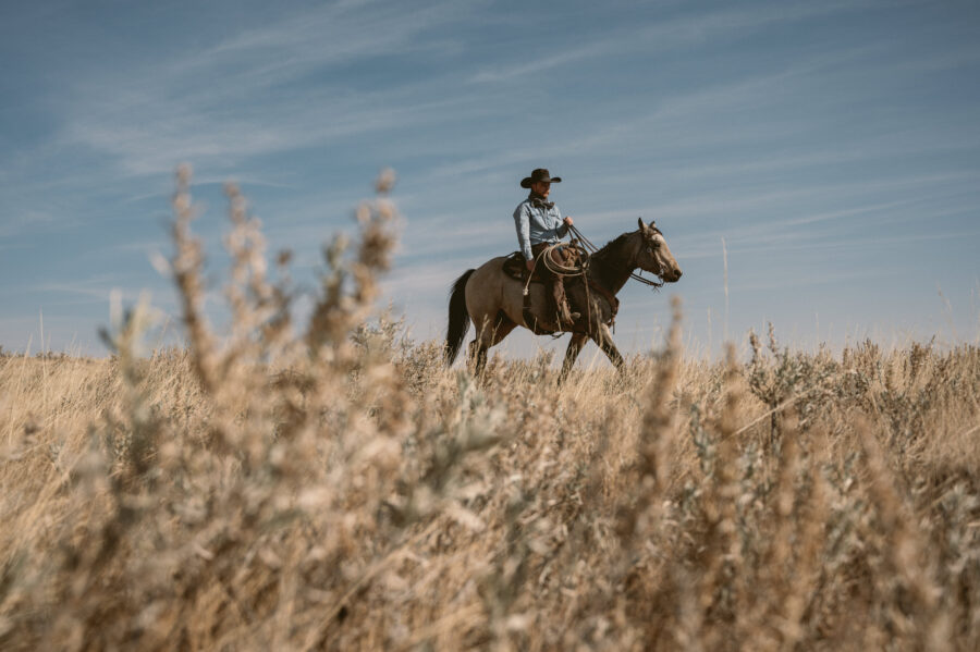 Colter Wall Builds Vast Imagery With Brave Simplicity On ‘Little Songs’ (ALBUM REVIEW)