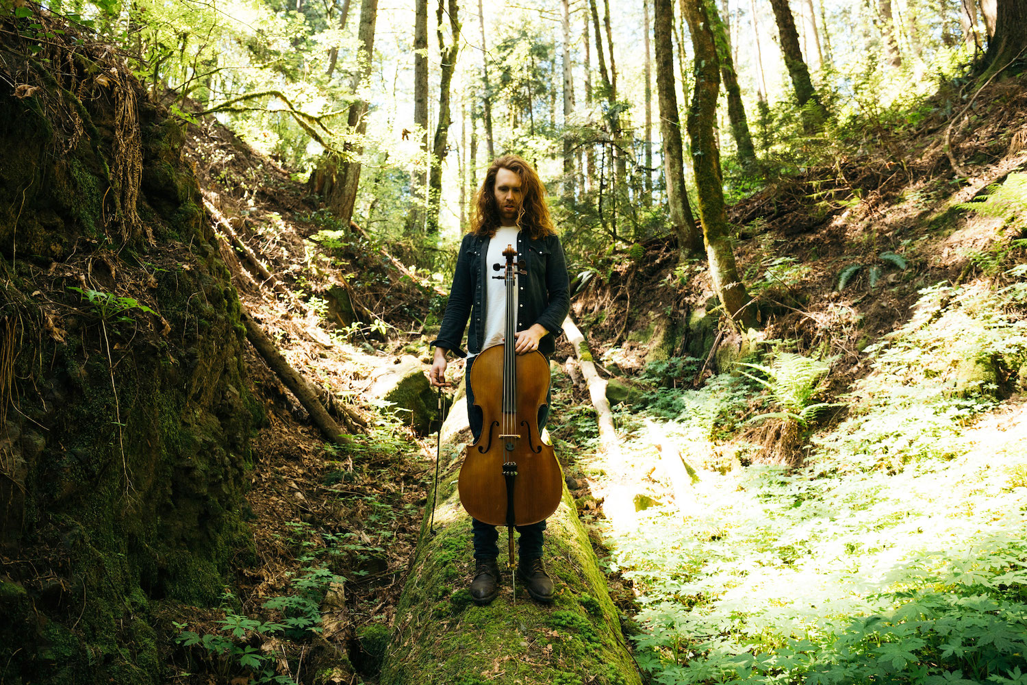 VIDEO PREMIERE: Twin Bridges Fuses Indie Rock and Chamber Pop on Thoughtful Tune “Carbon & Dust”