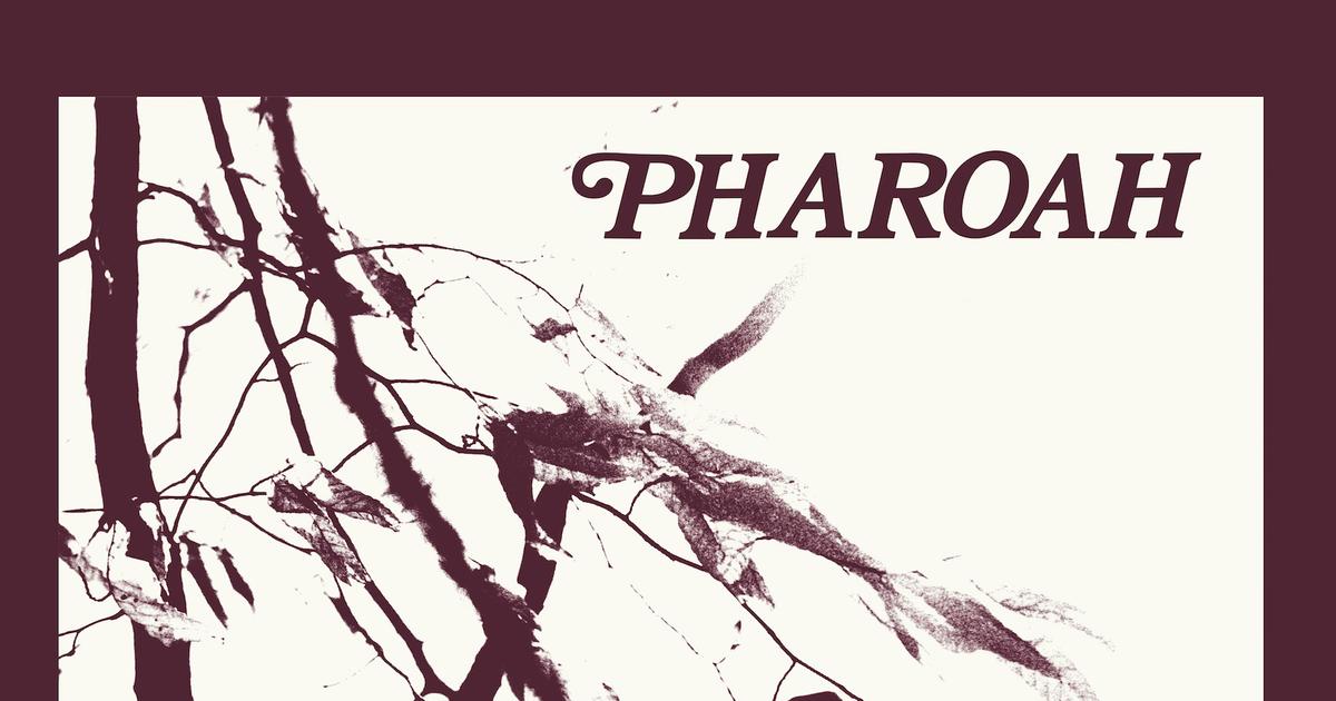 Pharoah Sanders’ 1977 Seminal, Widely Bootlegged ‘Pharaoh’ is Remastered, and Packaged in a Definitive Box Set (ALBUM REVIEW)