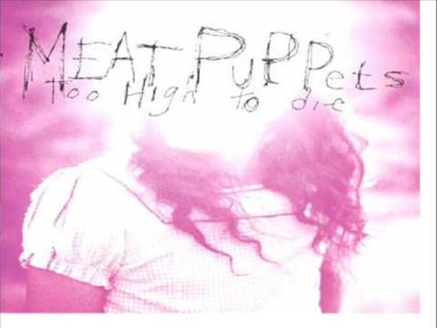 30 Years Later: Meat Puppets Finallly Hit The Charts With ‘Too High To Die’