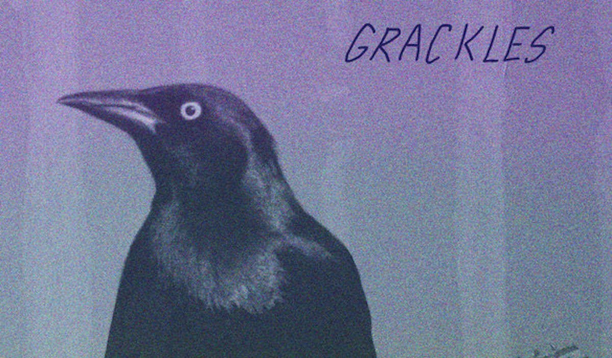 SONG PREMIERE: Grackles Craft Music For the Nightlife with Americana-noir Tune “It’s Coming to Ya”