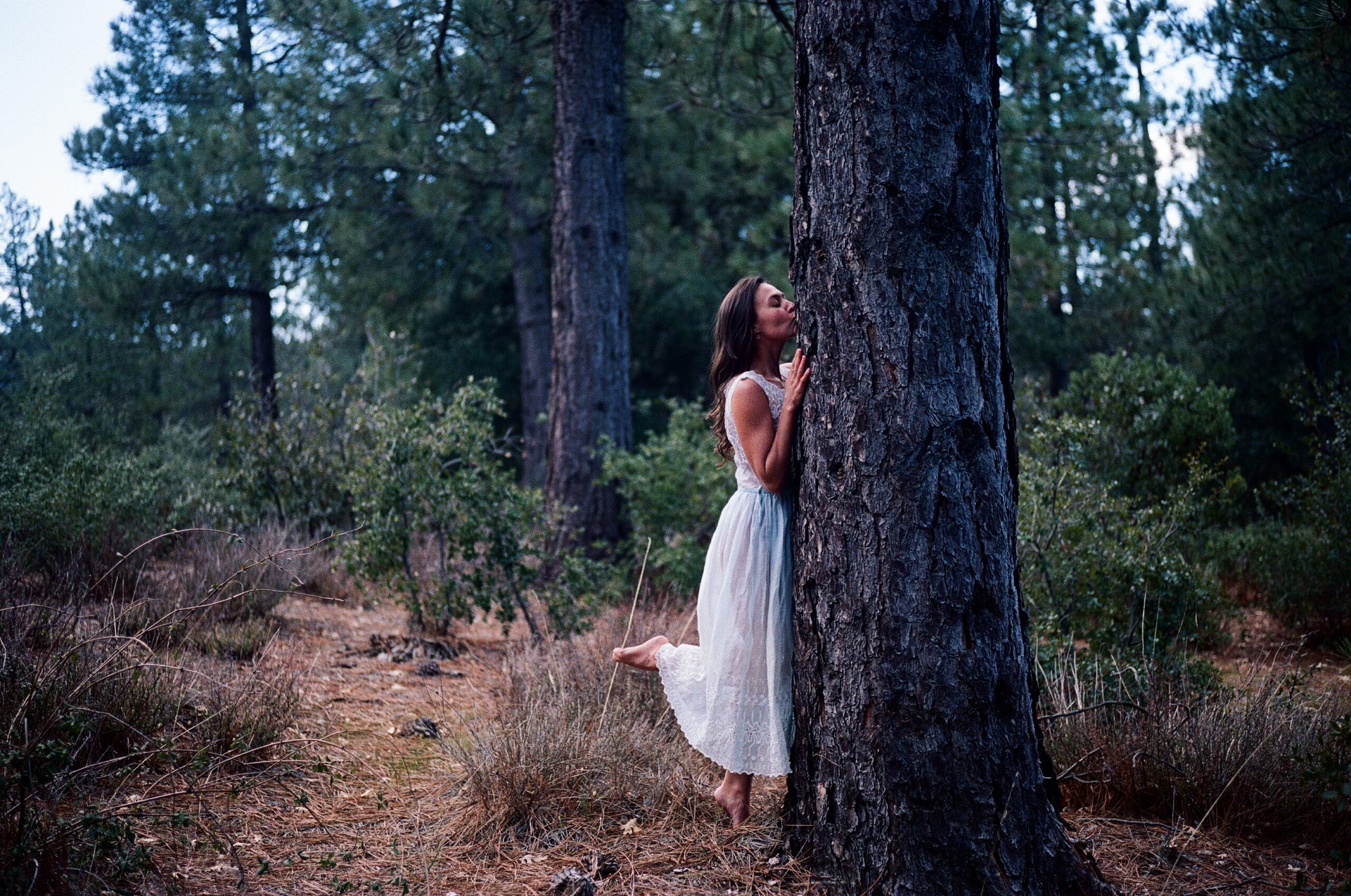 SONG PREMIERE: Monica Aben Exudes Earthy Joy On Passionate “Force of Nature”