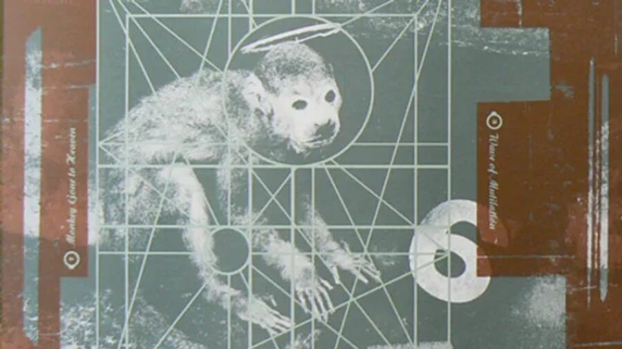 35 Years Later: Pixies Craft Essential Indie 101 Listening With ‘Doolittle’