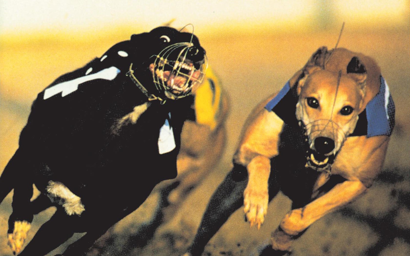 30 Years Later: Blur Breakthrough With Fully Realized ‘Parklife”