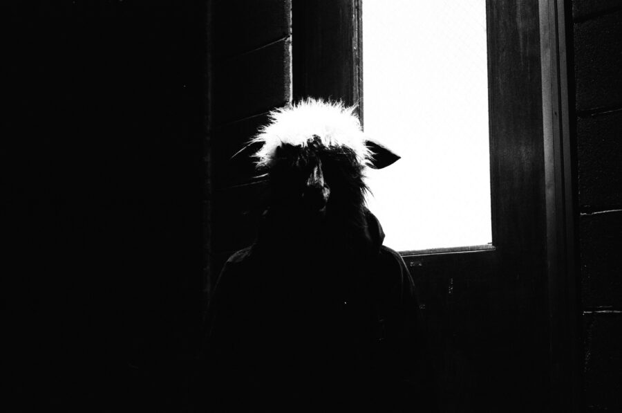 LISTEN: Tetsu the Phoenix Crafts Hypnotic Shoegaze on “Mr. Sunshine”