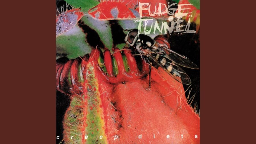 Manic Monday: Fudge Tunnel “S.R.T.” Live at Dynamo Open Air 1993