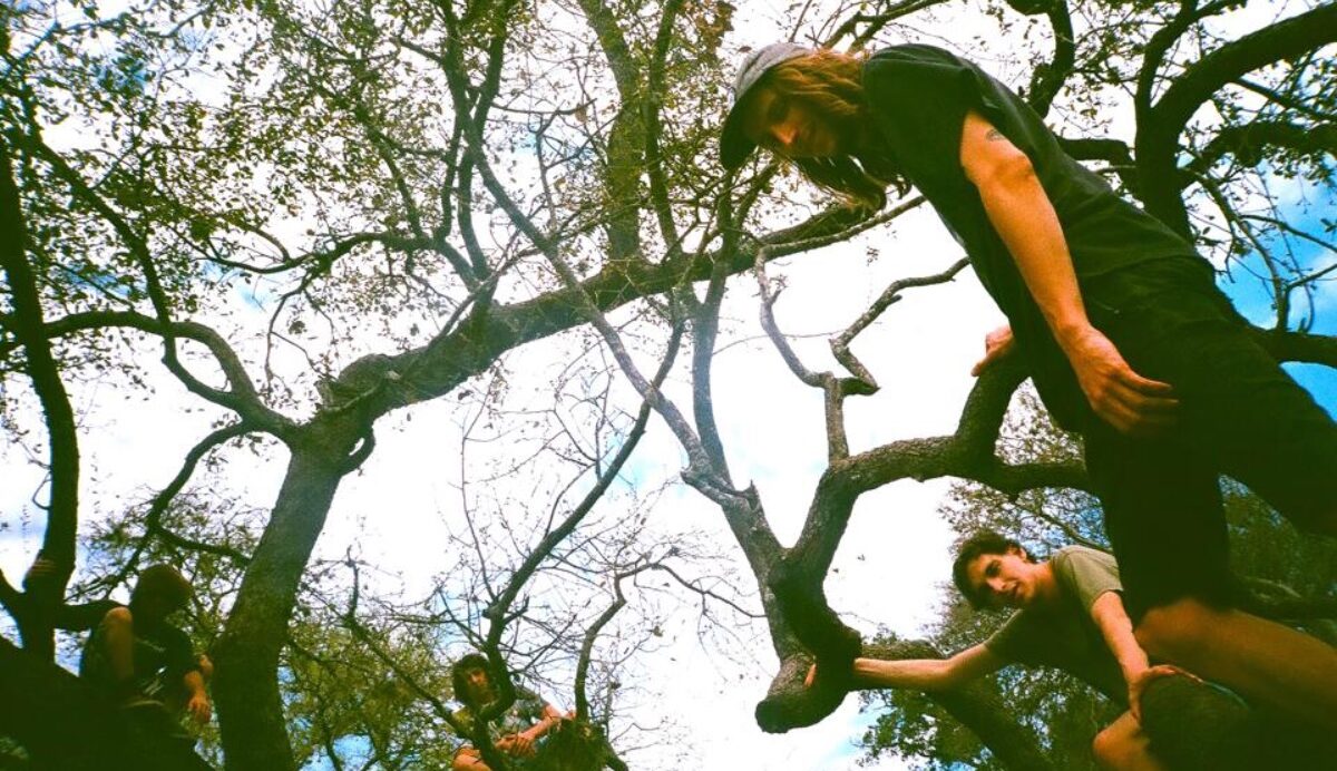 LISTEN: Psychiatric Metaphors Navigate Dense and Frantic Punk Bliss On “I’m Sick”