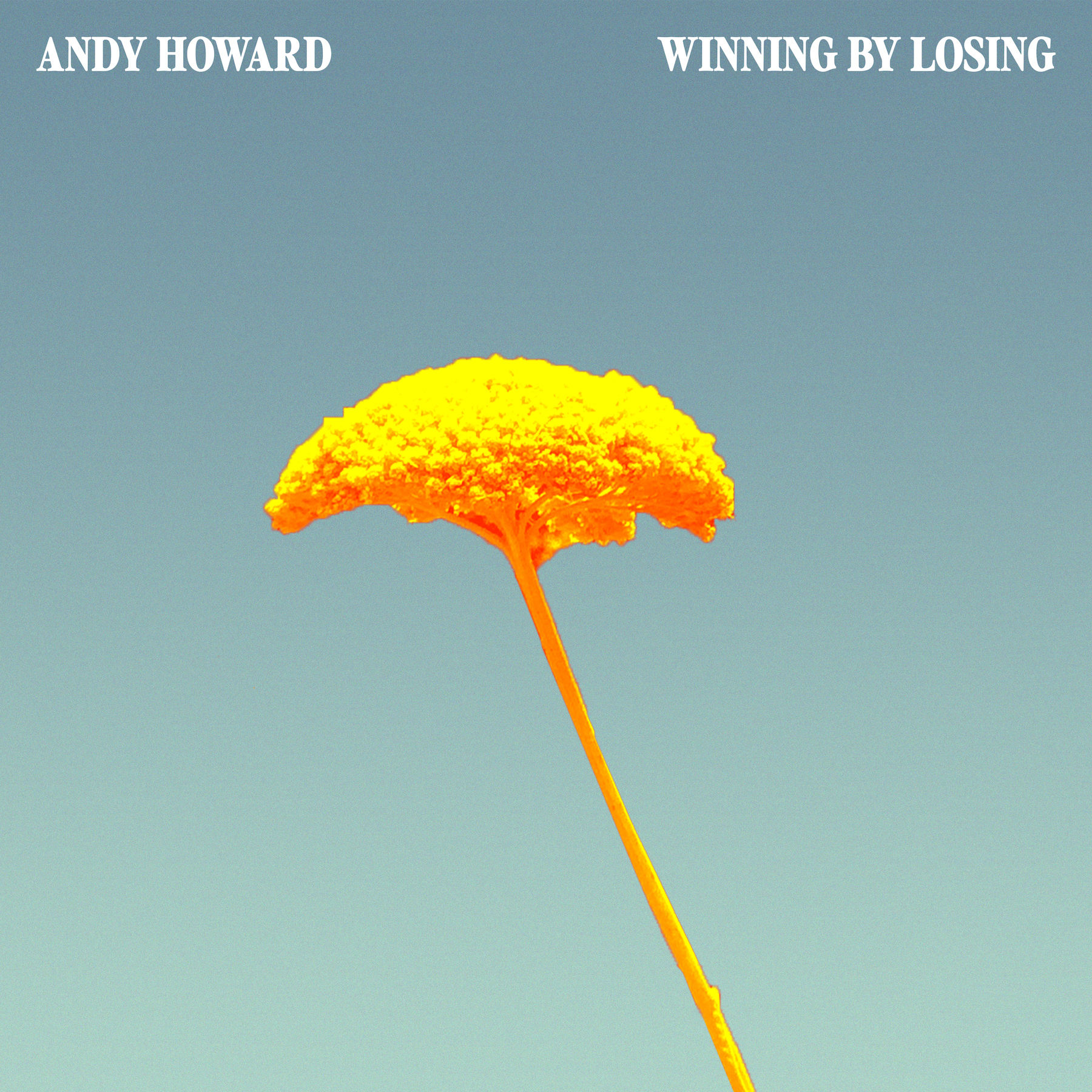 LISTEN: Andy Howard Delievers Lush Horns and Moving Poetry On “I Think I Know You”