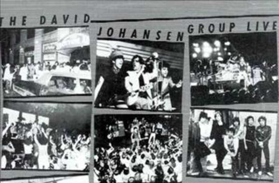 I Was There When: The David Johansen Group Played Live At University of Vermont 1979