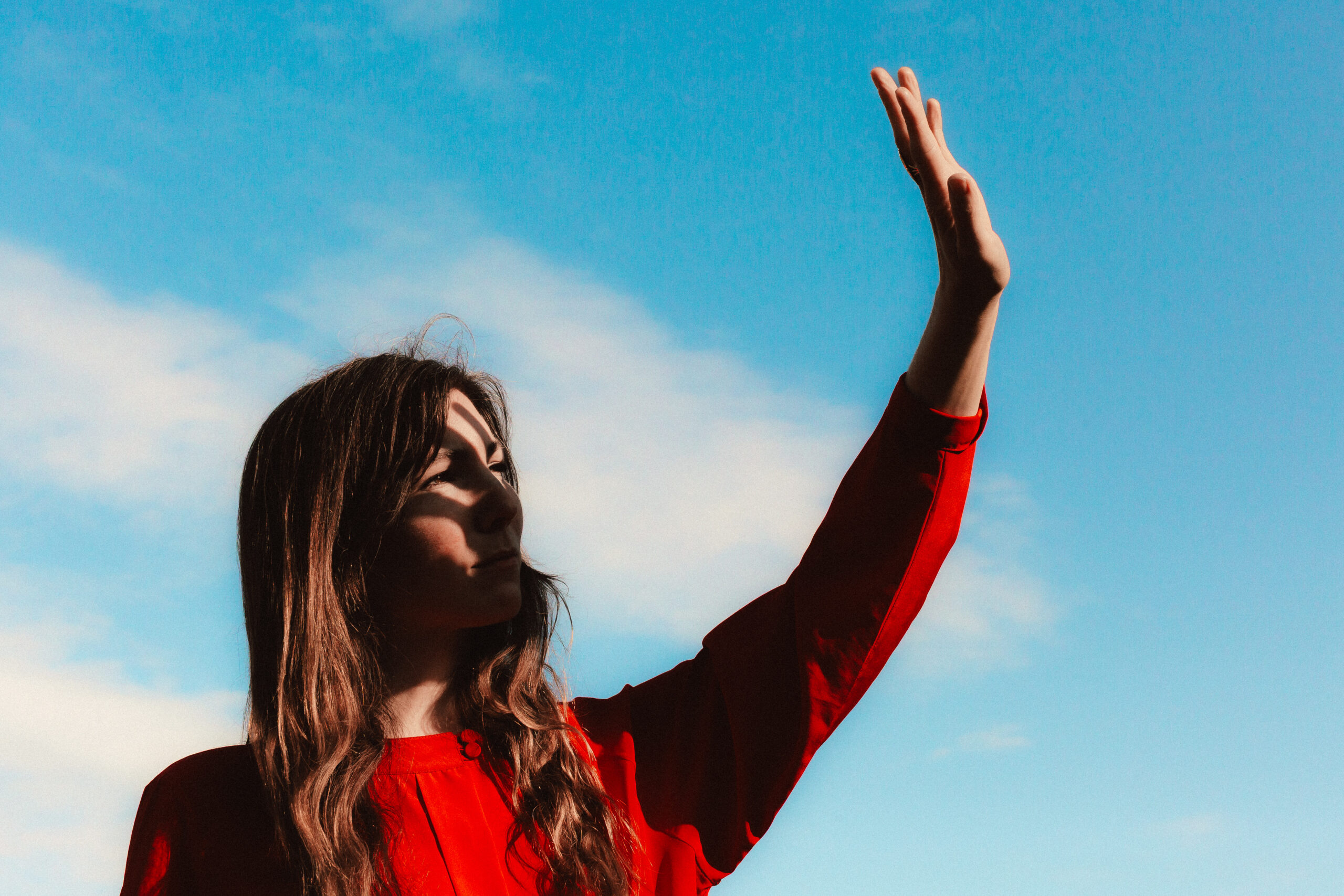 Anna Tivel’s Quiet Brilliance On New Album ‘Animal Poem’ (FEATURE)